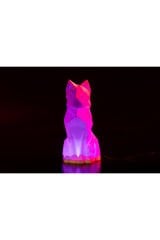 Rgb ledli Lowpoly Kedi Masa ve Gece Lambası