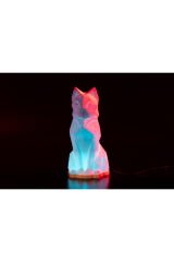 Rgb ledli Lowpoly Kedi Masa ve Gece Lambası