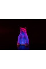 Rgb ledli Lowpoly Ayı Masa ve Gece Lambası