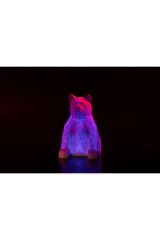 Rgb ledli Lowpoly Ayı Masa ve Gece Lambası