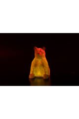 Rgb ledli Lowpoly Ayı Masa ve Gece Lambası